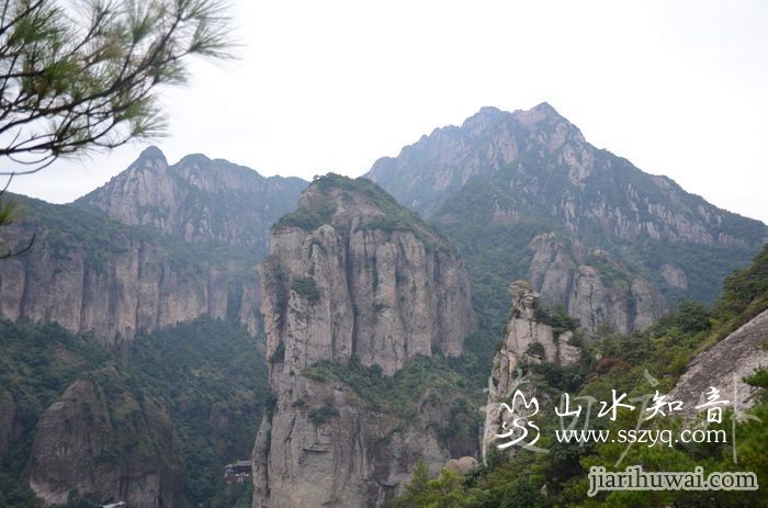 灵峰背.jpg