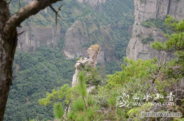 灵峰背2.jpg