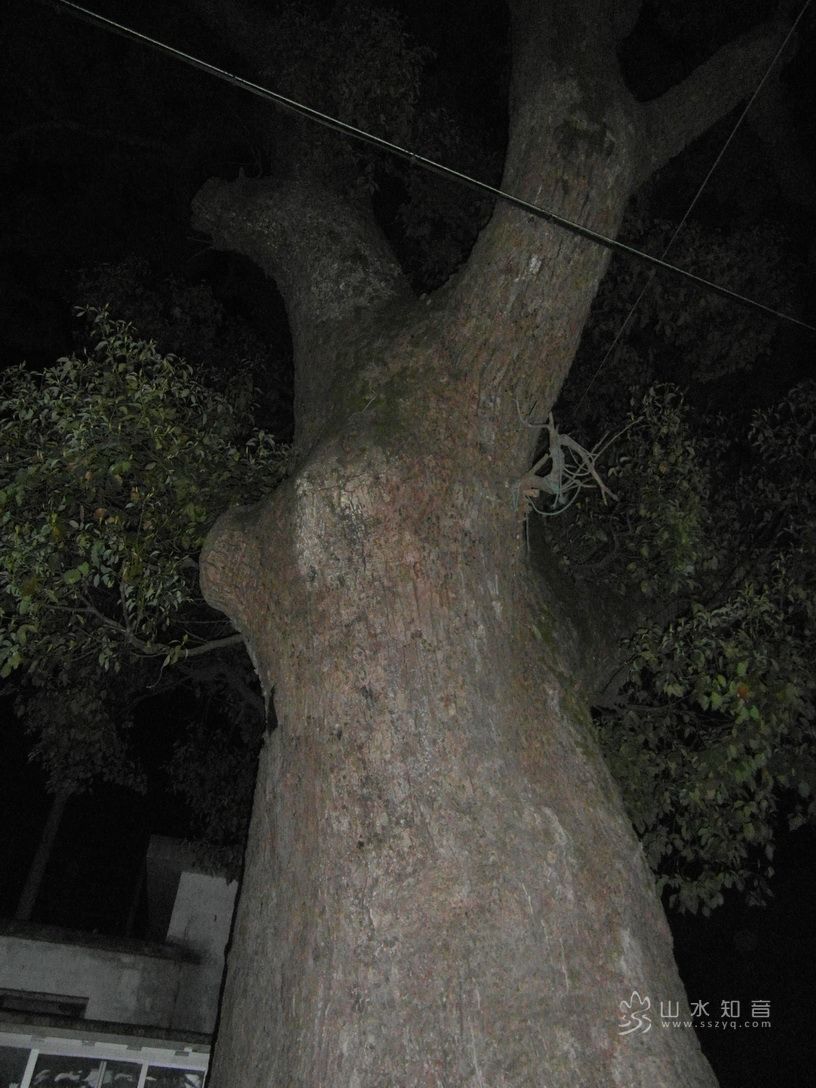 调整大小 SAM_5638.JPG
