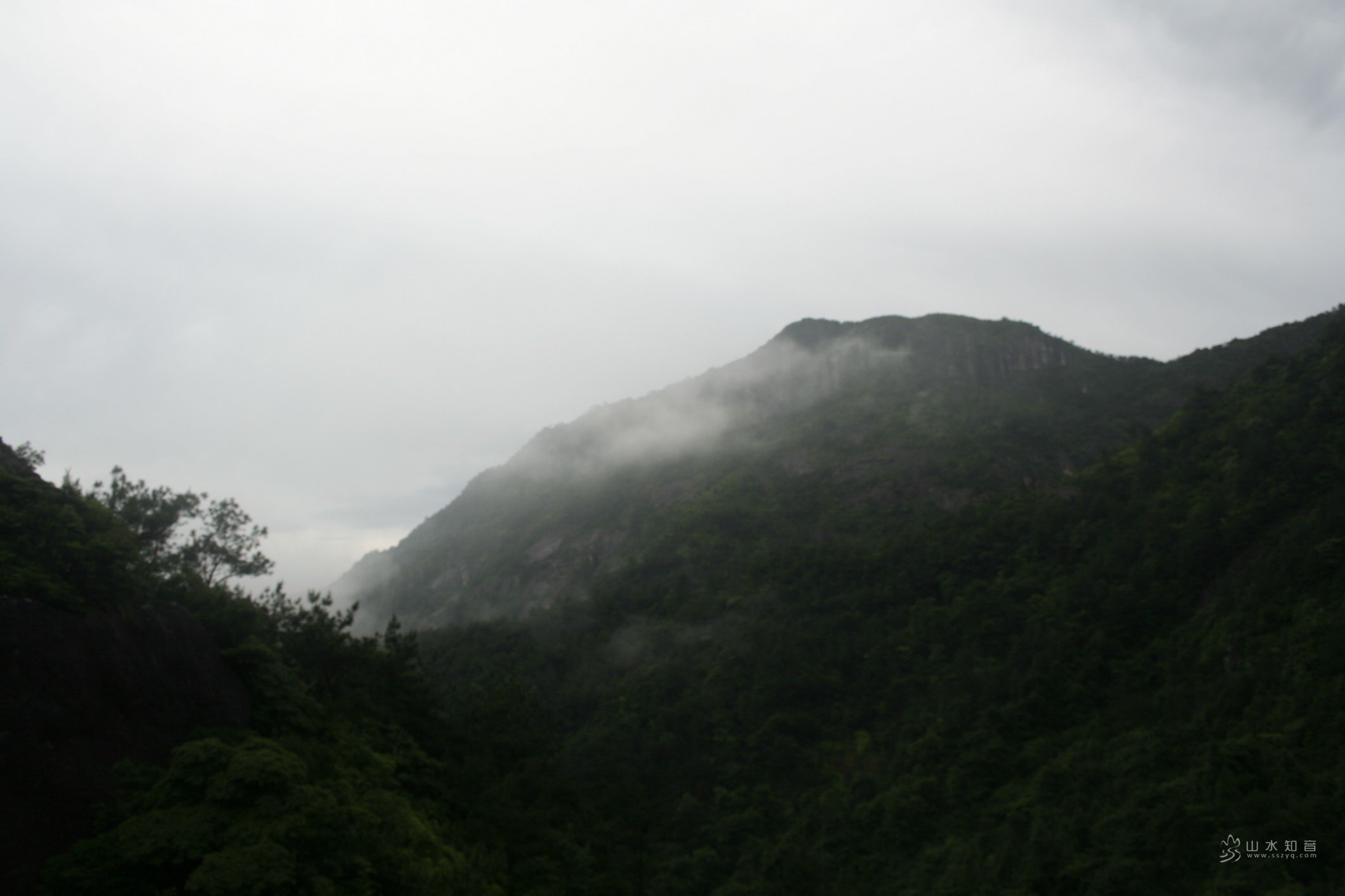 _MG_7003.JPG