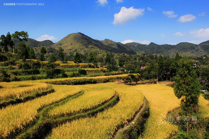 茗岙梯田6.jpg