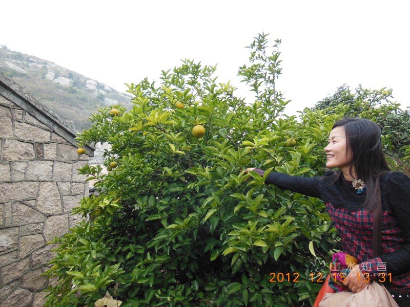 DSCN5971.jpg