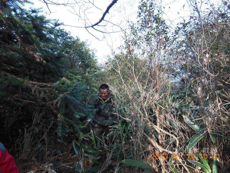 DSCN6666.jpg