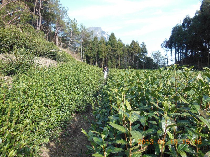 DSCN6759.jpg