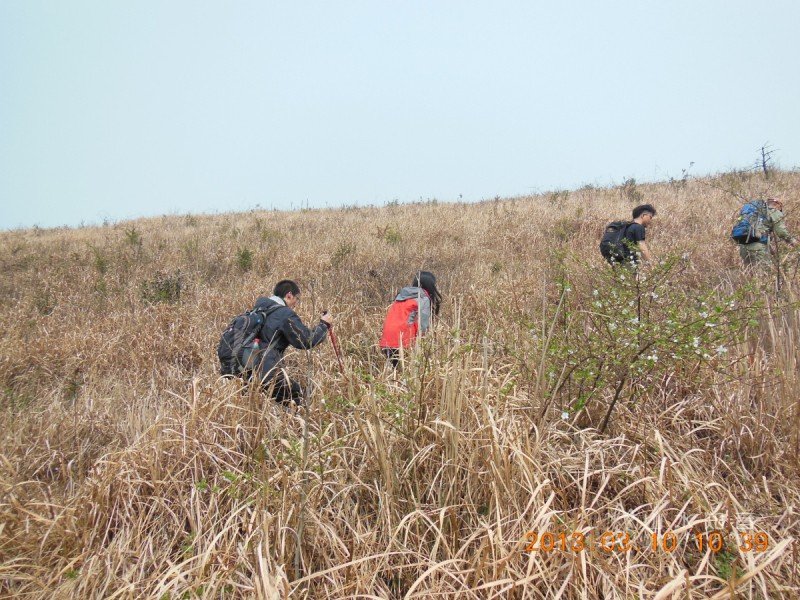 DSCN8165.jpg