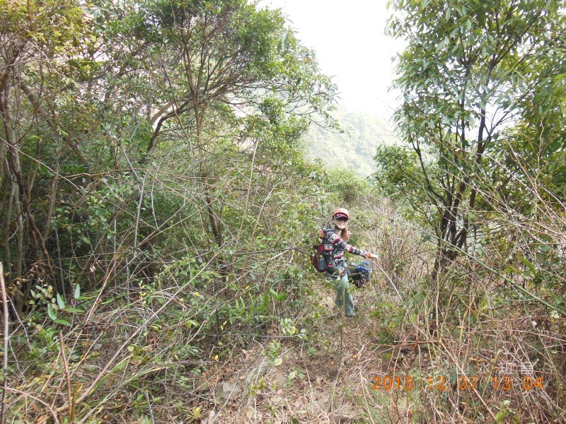 DSCN2419.jpg